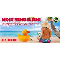 Ingyenes kiszállítás!