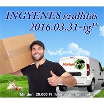 Ingyenes szállítás