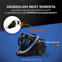 Rowenta páros akció!