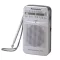 Panasonic_RFP50DEGS_radio-i539304