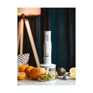 Adler_AD4620_botmixer-i632133