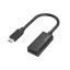 Hama_200314_Fic_USB_Type-C_Displayport_adapter-i658400