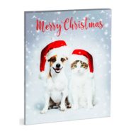 Family_Christmas_58452_karacsonyi_LED-es_hangulatkep-i876723