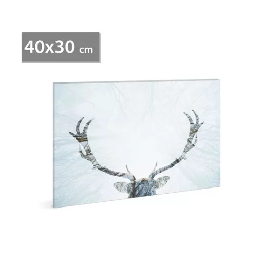 Family_Decor_58481A_LED-es_fali_kep_40X30_cm-i885734