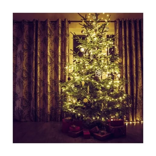 Family_Decor_58900A_LED_fenyfuzer_melegfeher-i892052