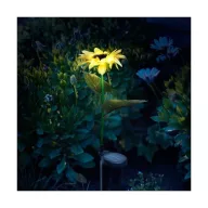 Garden_of_Eden_11762_leszurhato_szolar_napraforgo_75_cm-i913285
