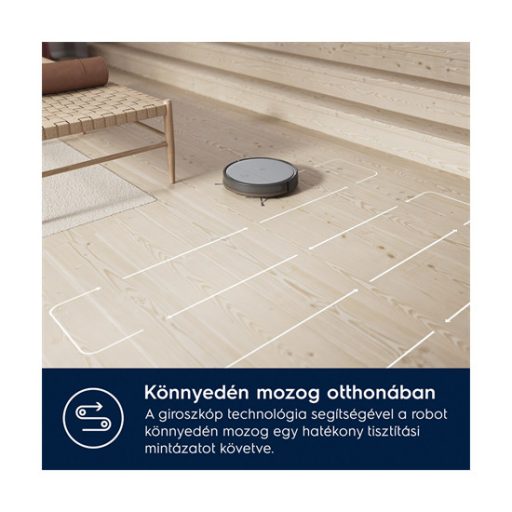 Electrolux_ER61UD1UG_robotporszivo-i971550