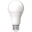 Avide_ABG27WW-95W-AP_LED_GLOBE_izzo_A60_95W_E27_WW_3000K-i972403