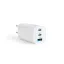 Delight_55060_halozati_adapter_2_x_Type-C_USB-A_65W_gyorstoltes_feher-i975992