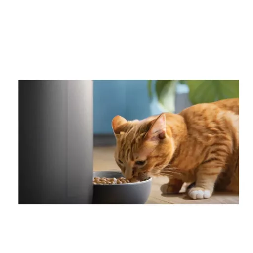 Philips_PAW532002_5000_Series_intelligens_eteto-i1045154