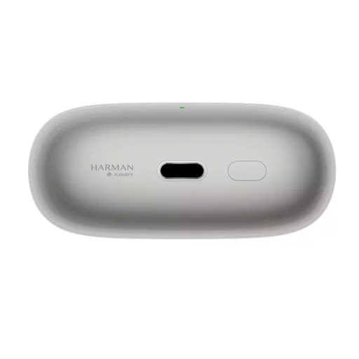 Xiaomi Buds 5 Pro BT headset, titanium (BHR9640GL)