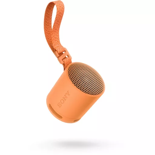 Sony SRSXB100D.CE7 bluetooth hangszóró