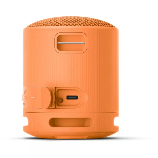Sony SRSXB100D.CE7 bluetooth hangszóró