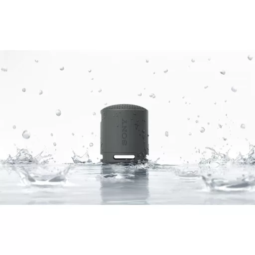 Sony SRSXB100D.CE7 bluetooth hangszóró