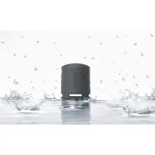 Sony SRSXB100H.CE7 bluetooth hangszóró