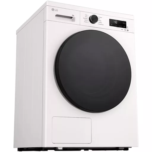 LG RHX1009NWB hőszivattyús szárítógép