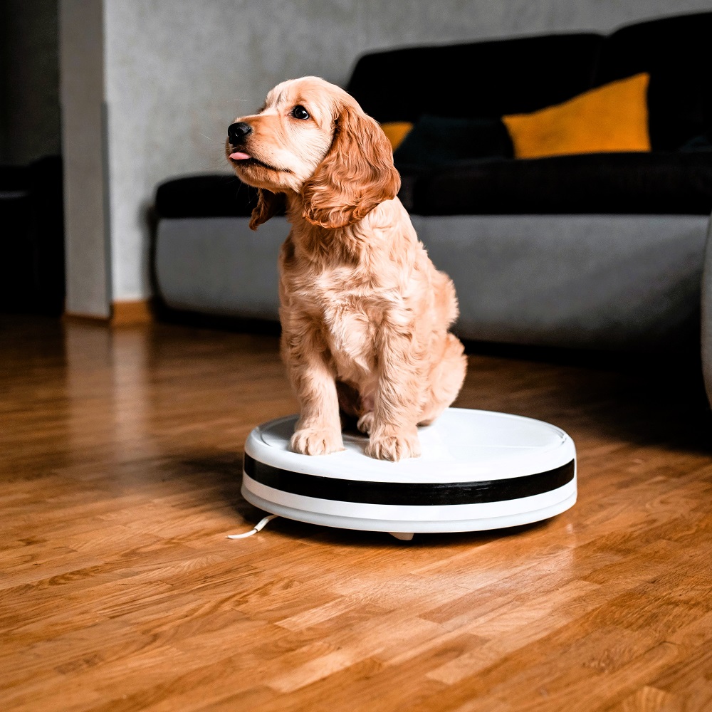 A robotporszívó használatának 10 előnye