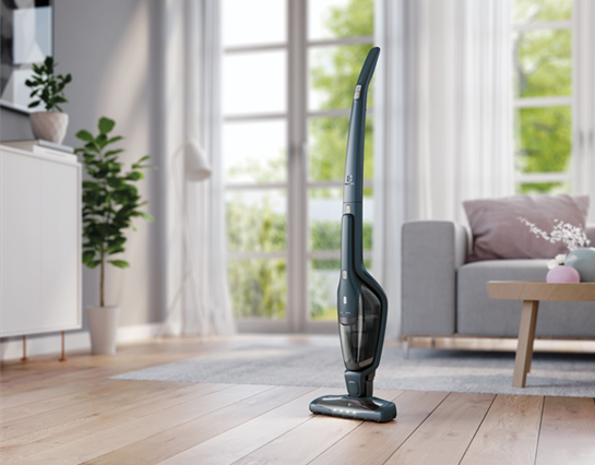 Electrolux EER75STM Ergorapido 2in1 kézi- és morzsaporszívó