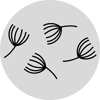Pollenek ikon
